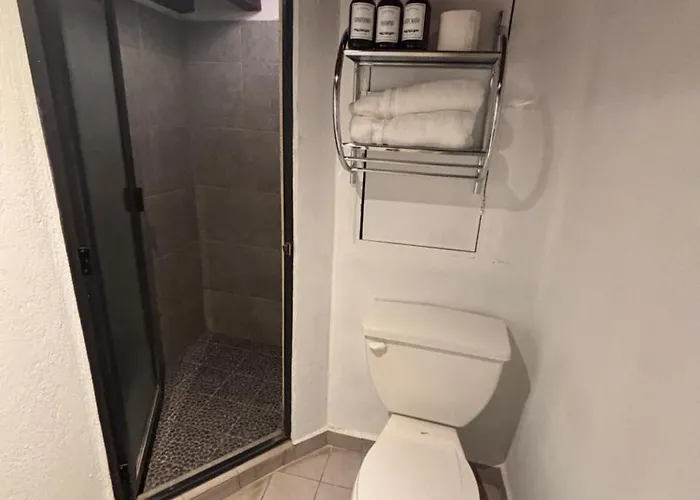 Hotel Casa Regina Cdmx *